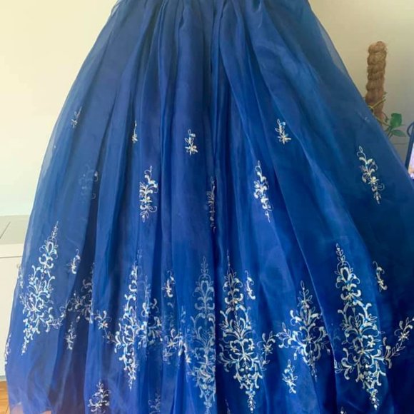 Quinceanera Dress - Picture 7 of 8